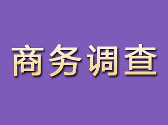 湖里商务调查